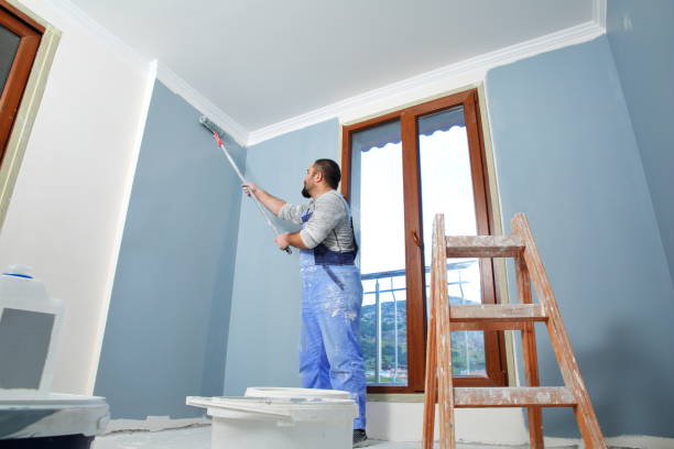 Best Attic Mold Removal  in Box Elder, SD