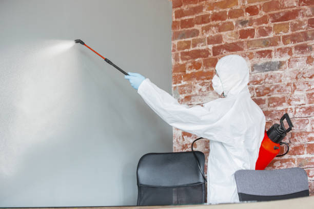 Forensic Mold Investigation in Box Elder, SD