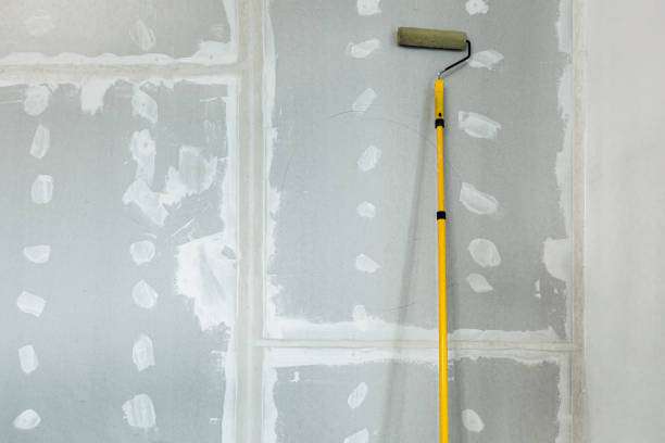 Best Environmental Consulting for Mold Prevention  in Box Elder, SD