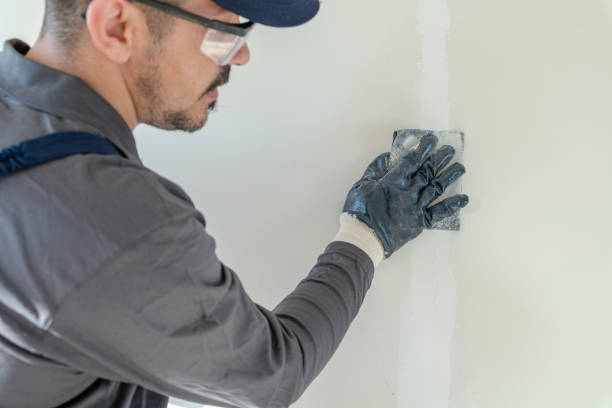 Best Mold Remediation for Healthcare Facilities  in Box Elder, SD