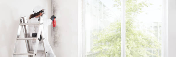 Professional Mold Removal in Box Elder, SD